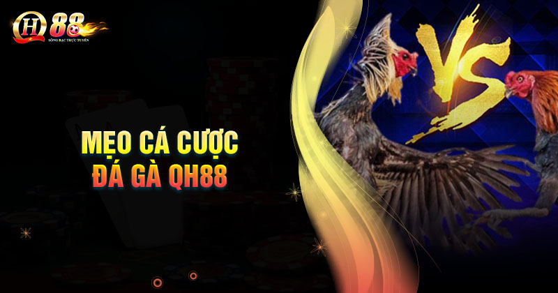 meo-ca-cuoc-da-ga-qh88-luon-thang-lon
